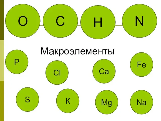 С Н N О Макроэлементы Fe Са К Р S Сl Mg Na