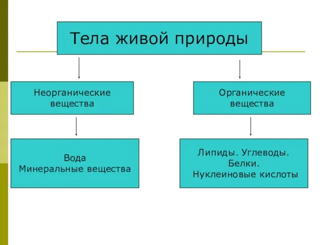 Тела живой природы Неорганические вещества Органические вещества Вода Минеральные вещества Липиды. Углеводы. Белки. Нуклеиновые кислоты