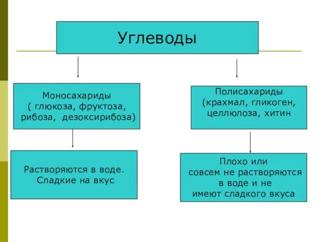 Углеводы Моносахариды ( глюкоза, фруктоза, рибоза, дезоксирибоза) Полисахариды (крахмал, гликоген,