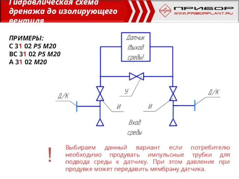 Выбираем данный вариант если потребителю необходимо продувать импульсные трубки для