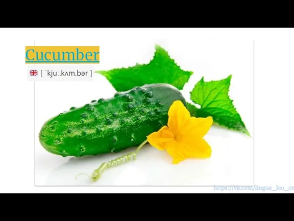 Cucumber https://vk.com/lingua_leo_center