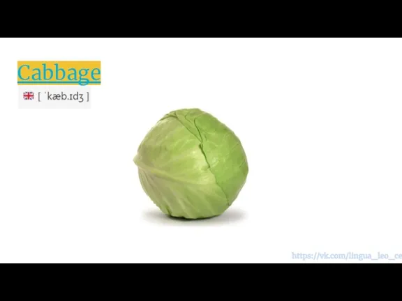 Cabbage https://vk.com/lingua_leo_center