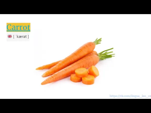 Carrot https://vk.com/lingua_leo_center