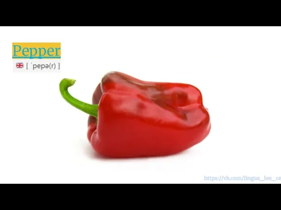 Pepper https://vk.com/lingua_leo_center