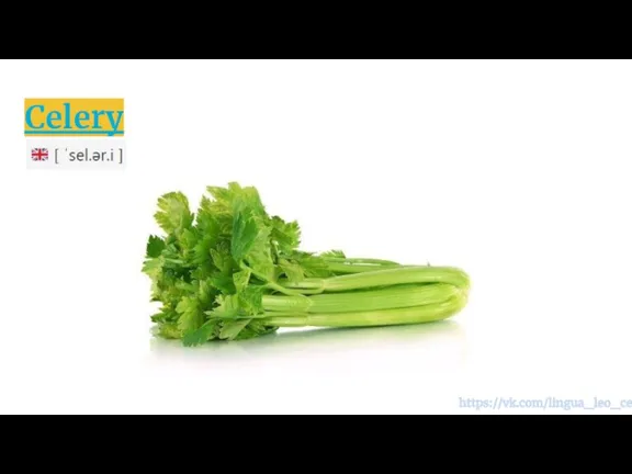 Celery https://vk.com/lingua_leo_center