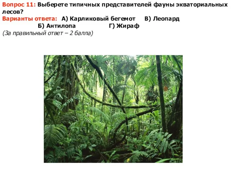 Вопрос 11: Выберете типичных представителей фауны экваториальных лесов? Варианты ответа: