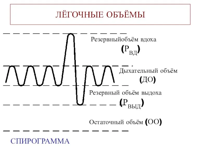 ЛЁГОЧНЫЕ ОБЪЁМЫ Резервныйобъём вдоха (РВД) Дыхательный объём (ДО) Резервный объём выдоха (РВЫД) Остаточный объём (ОО) СПИРОГРАММА