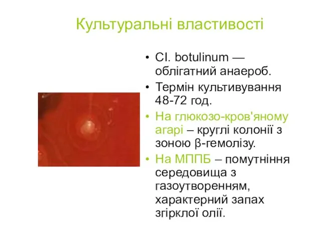 Культуральні властивості СІ. botulinum — облігатний анаероб. Термін культивування 48-72