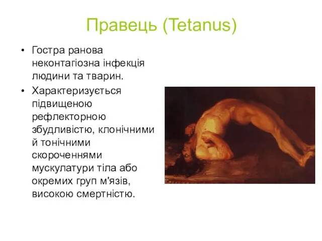 Правець (Tetanus) Гостра ранова неконтагіозна інфекція людини та тварин. Характеризується