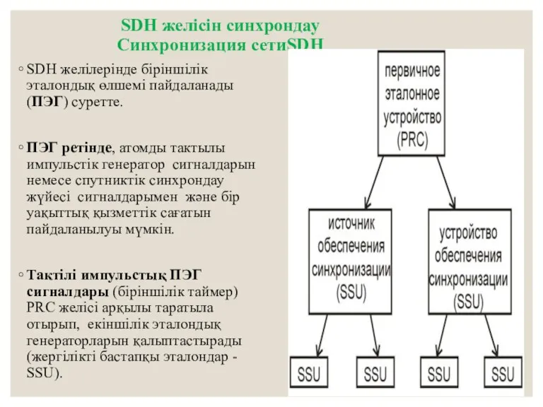 SDH желісін синхрондау Синхронизация сетиSDH SDH желілерінде біріншілік эталондық өлшемі