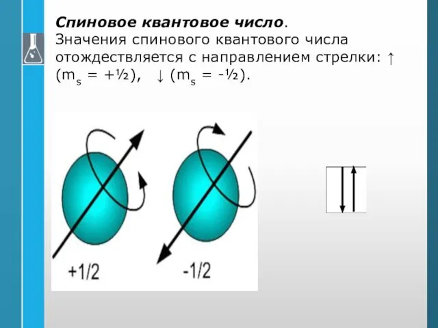 Спиновое квантовое число. Значения спинового квантового числа отождествляется с направлением