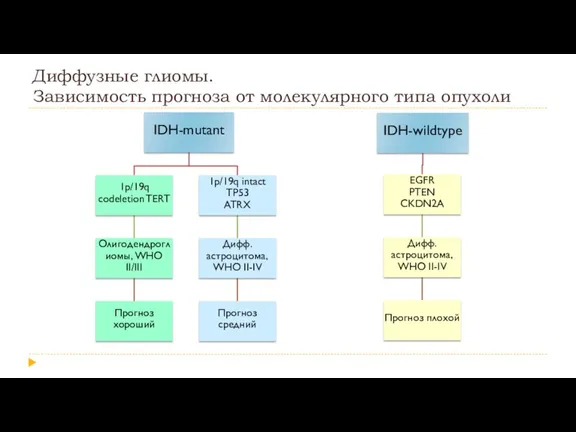 Диффузные глиомы. Зависимость прогноза от молекулярного типа опухоли