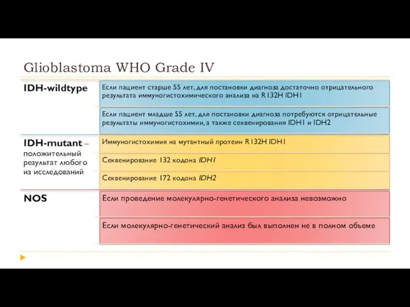Glioblastoma WHO Grade IV