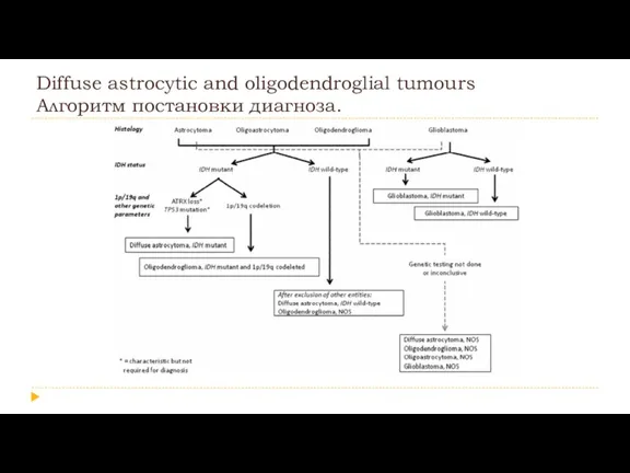 Diffuse astrocytic and oligodendroglial tumours Алгоритм постановки диагноза.