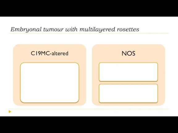 Embryonal tumour with multilayered rosettes