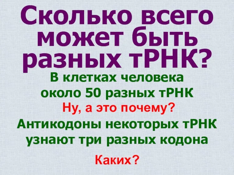 Сколько всего может быть разных тРНК? В клетках человека около