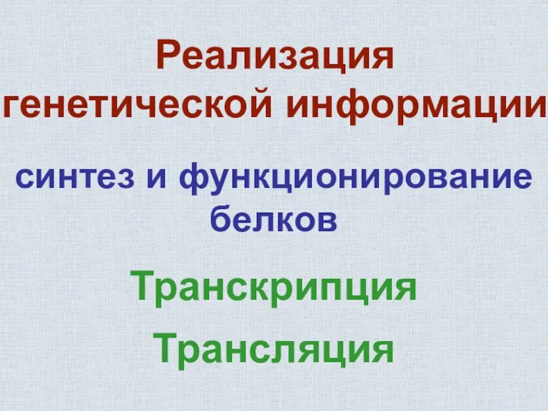 синтез и функционирование белков Реализация генетической информации Транскрипция Трансляция