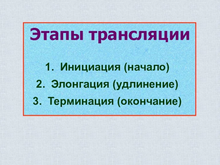 Инициация (начало) Элонгация (удлинение) Терминация (окончание) Этапы трансляции