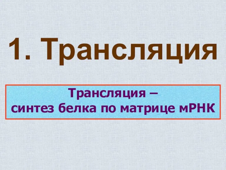 Трансляция – синтез белка по матрице мРНК 1. Трансляция