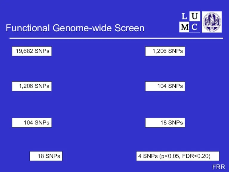 Functional Genome-wide Screen Stage 1 LETS pools Stage 2 MEGA-1