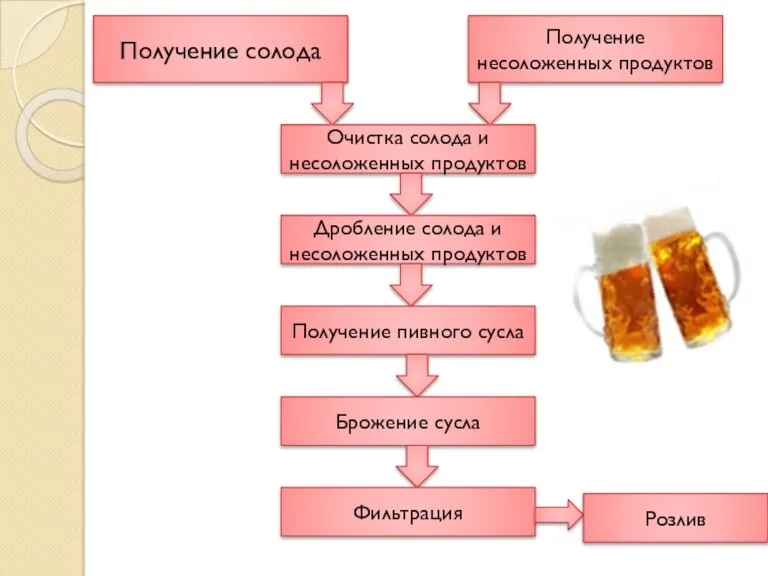 Получение солода Получение несоложенных продуктов Очистка солода и несоложенных продуктов