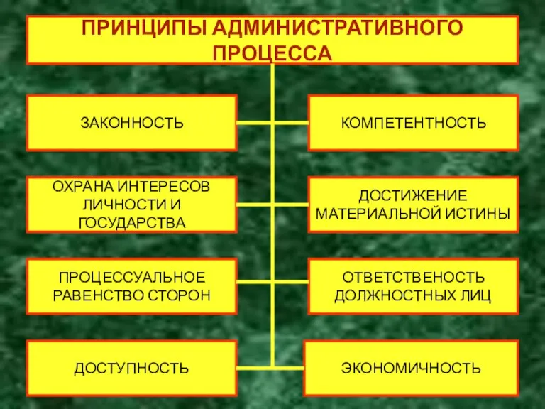 ПРИНЦИПЫ АДМИНИСТРАТИВНОГО ПРОЦЕССА ЗАКОННОСТЬ КОМПЕТЕНТНОСТЬ ОХРАНА ИНТЕРЕСОВ ЛИЧНОСТИ И ГОСУДАРСТВА