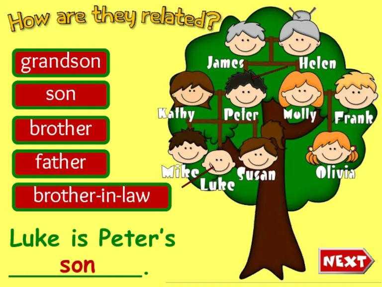 Luke is Peter’s _________. grandson son brother father brother-in-law son