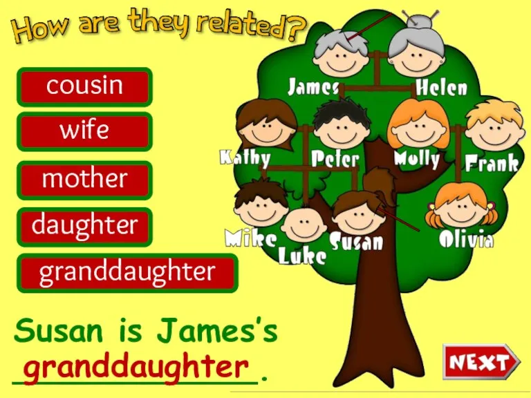 Susan is James’s ____________. cousin wife mother daughter granddaughter granddaughter