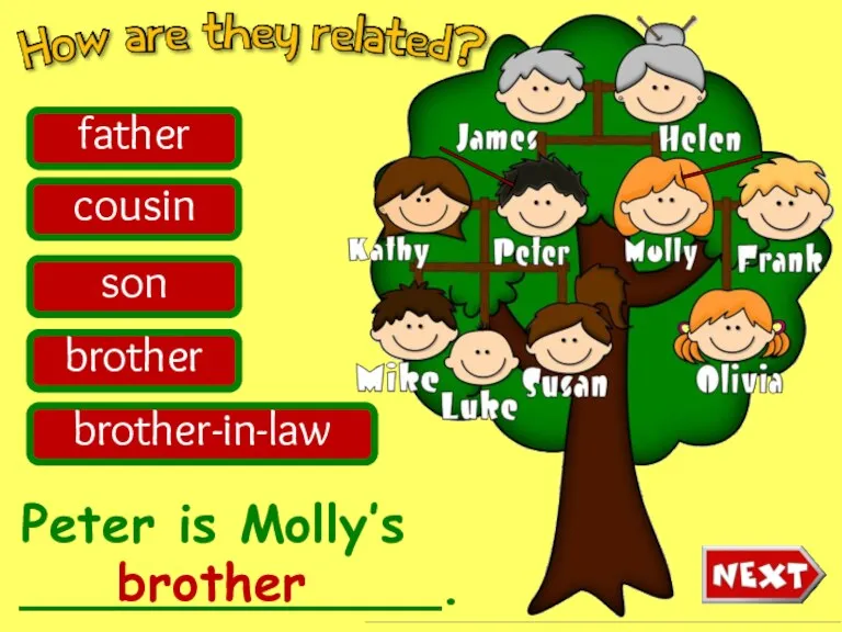 Peter is Molly’s _____________. father cousin son brother brother-in-law brother