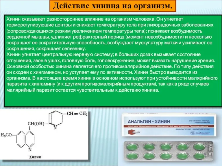 Действие хинина на организм. Хинин оказывает разностороннее влияние на организм человека. Он угнетает