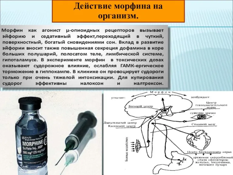 Действие морфина на организм.