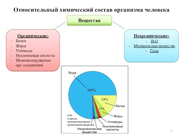 Относительный химический состав организма человека Вещества Органические: Белки Жиры Углеводы