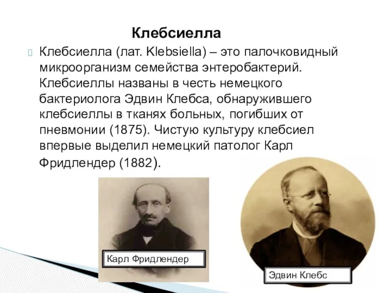 Клебсиелла (лат. Klebsiella) – это палочковидный микроорганизм семейства энтеробактерий. Клебсиеллы