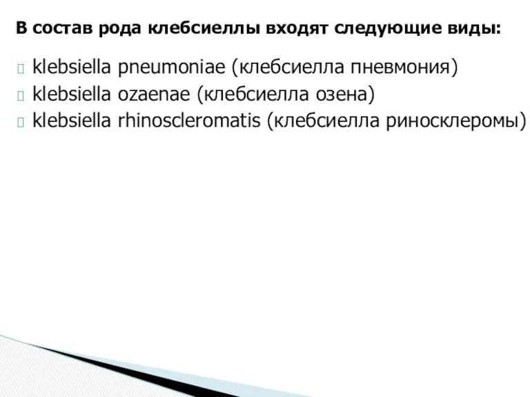 klebsiella pneumoniae (клебсиелла пневмония) klebsiella ozaenae (клебсиелла озена) klebsiella rhinoscleromatis