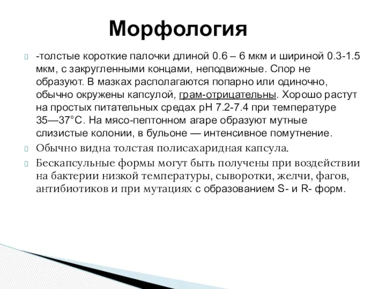 -толстые короткие палочки длиной 0.6 – 6 мкм и шириной