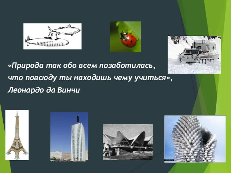 «Природа так обо всем позаботилась, что повсюду ты находишь чему учиться», Леонардо да Винчи
