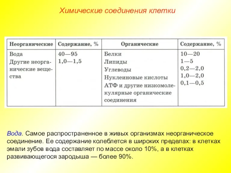 Химические соединения клетки Вода. Самое распространенное в живых организмах неорганическое