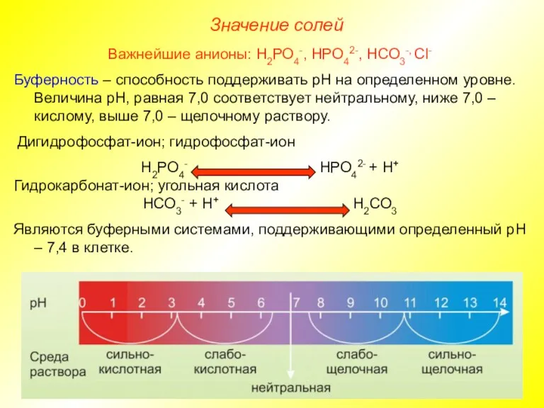 Значение солей Важнейшие анионы: Н2РО4-, НРО42-, НСО3-, Сl- Буферность –