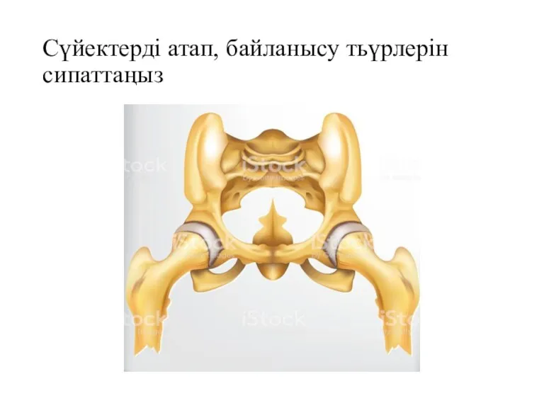 Сүйектерді атап, байланысу тьүрлерін сипаттаңыз