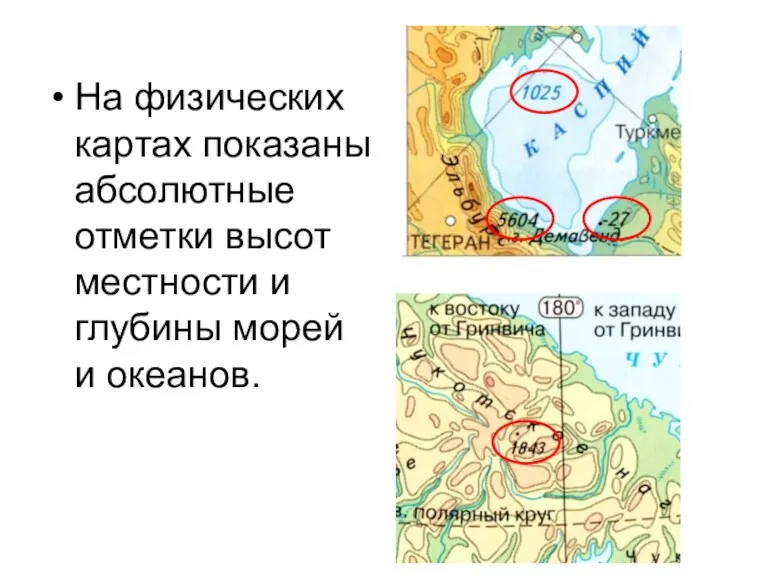 На физических картах показаны абсолютные отметки высот местности и глубины морей и океанов.