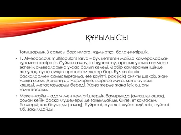 ҚҰРЫЛЫСЫ Тоғышардың 3 сатысы бар: имаго, жұмыртқа, балаң-көпіршік. 1. Alveococcus