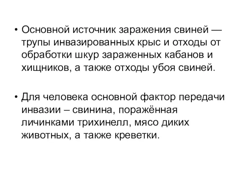 Основной источник заражения свиней — трупы инвазированных крыс и отходы