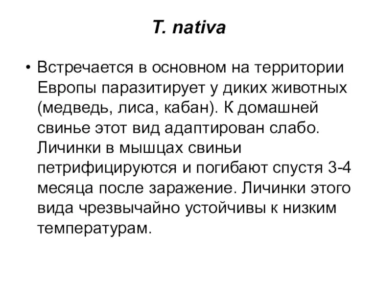 Т. nativa Встречается в основном на территории Европы паразитирует у