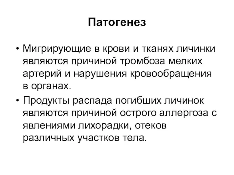 Патогенез Мигрирующие в крови и тканях личинки являются причиной тромбоза