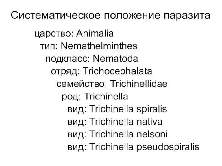 Систематическое положение паразита царство: Animalia тип: Nemathelminthes подкласс: Nematoda отряд: