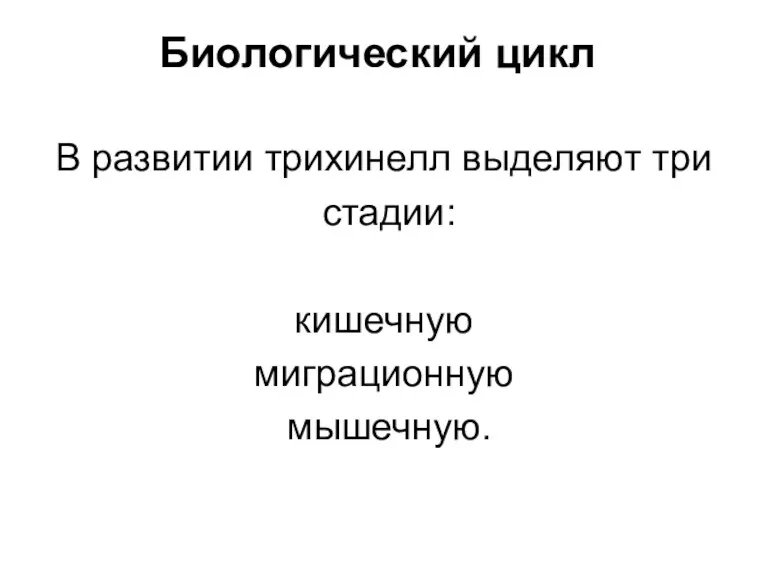 Биологический цикл В развитии трихинелл выделяют три стадии: кишечную миграционную мышечную.