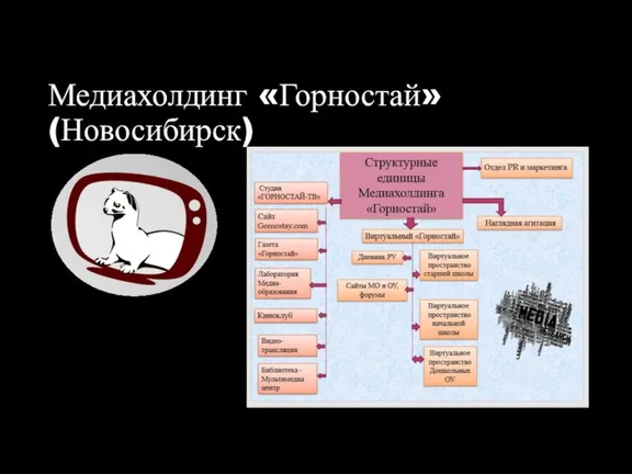 Медиахолдинг «Горностай» (Новосибирск)