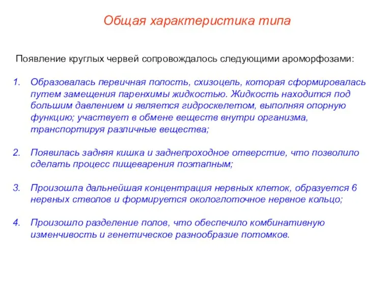 Общая характеристика типа Появление круглых червей сопровождалось следующими ароморфозами: Образовалась