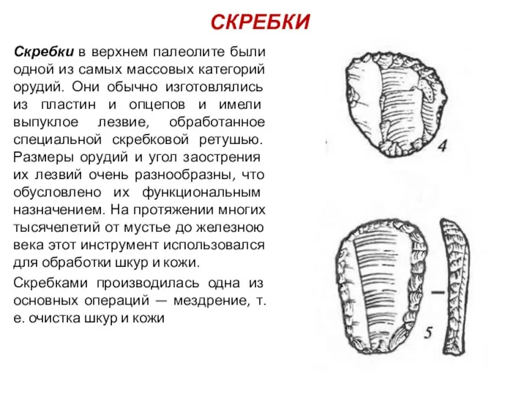 СКРЕБКИ Скребки в верхнем палеолите были одной из самых массовых