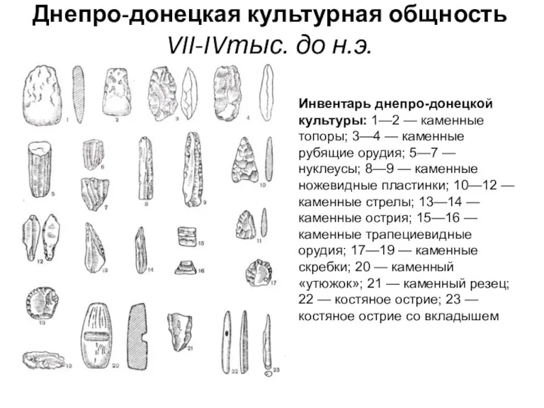 Днепро-донецкая культурная общность VII-IVтыс. до н.э. Инвентарь днепро-донецкой культуры: 1—2